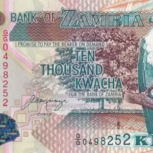 Billet Zambie 10000 Kwacha - Aigle - Agriculture - 2001 - P.42b Meilleure Qualité