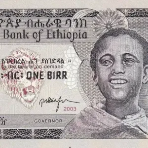 Billet Ethiopie 1 Birr - Garçon - Nil Bleu - 2003 - P.46c Haute Qualité
