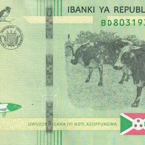 Billet Burundi 1000 Francs - Vaches - Carte du Burundi - 2021 - Série BD - P.NEW Nouvelle Collection