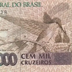 Prix Réduit Billet Brésil 100000 Cruzeiros - Beija Flor - ND (1993) - Série AA - P.235b