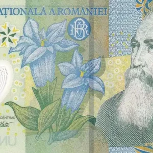 Billet Roumanie 1 Leu - Nicolae Iorga - Polymère - 2013 - Série J - P.117h Certifié