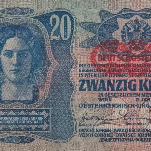 Billet Autriche 20 Kronen - Jeune femme - Armoiries - 1913 - P.14 Prix Choc