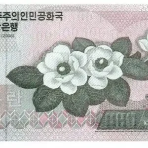 Seulement Aujourd’hui Billet Corée du Nord 100 Won Fleurs - 2008