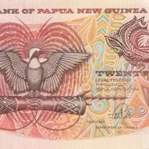 Top Qualité Billet Papouasie-Nouvelle-Guinée 20 Kina Oiseau de Paradis - Sanglier - Série SBK - 1988