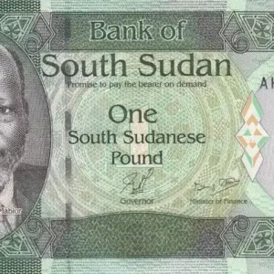 Billet Sud Soudan 1 Pound Dr John Garang de Mabior - Girafes - 2011 Vente Directe