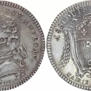 Marque France Anjou - Noblesse - Ville d'Angers