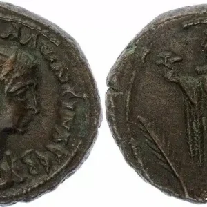 Rome - Provinces 1 Tétradrachme, Alexandrie - Salonine (254-268) - 9.2 g Premium