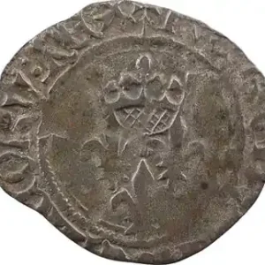 Le Dauphin Charles (au nom de Charles VI), florette 9e émission, Toulouse Bon Plan