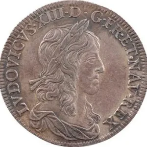 Louis XIII, demi-écu d’argent, 2e type (1er poinçon), 1642 Paris (rose) Acheter En Ligne
