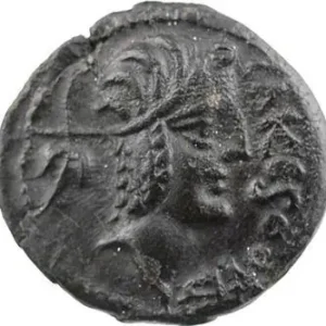 Exclusif Carnutes, bronze TASGETIOS au pégase, c.60-40 av. J.-C.