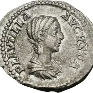 Commander Vite Plautille, denier, Rome, 202