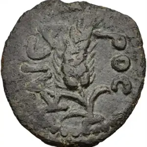 Meilleur Choix Judée, Procureur Marcus Ambibulus, petit bronze, an 39 ( 9 ap. J-C)