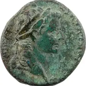 Promotion Saisonnière Tibère, as, Lyon, 12-14