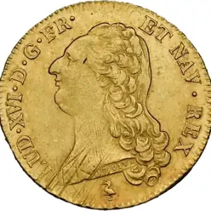 Seulement Aujourd’hui Louis XVI, double louis d’or à la tête nue, 1786 Paris