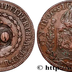 Fait Main BRÉSIL 40 Réis Pierre II du Brésil contremarqué sur une 80 Réis 1831 (1835) Rio de Janeiro fwo_742895 Monde