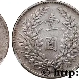 Remise CHINE 1 Yuan Président Yuan Shikai an 10 1921 fwo_689832 Monde