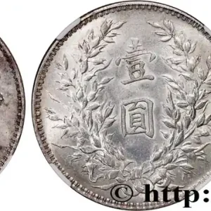 Super Prix CHINE 1 Yuan Président Yuan Shikai an 9 1920 fwo_689845 Monde