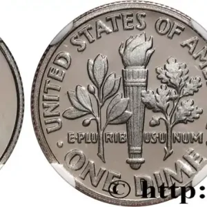 ÉTATS-UNIS D'AMÉRIQUE 1 Dime Franklin Roosevelt Silver Proof 2011 San Francisco fwo_766078 Monde Produit De Marque