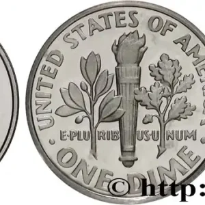 Fait Main ÉTATS-UNIS D'AMÉRIQUE 1 Dime Franklin Roosevelt Silver Proof 2008 San Francisco fwo_766106 Monde