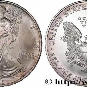 Réduction ÉTATS-UNIS D'AMÉRIQUE 1 Dollar type Silver Eagle 1995 Philadelphie fwo_770843 Monde