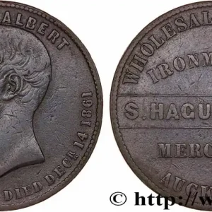 NOUVELLE-ZÉLANDE 1 Penny Token 1863-1869 Auckland fwo_771942 Monde Meilleure Qualité