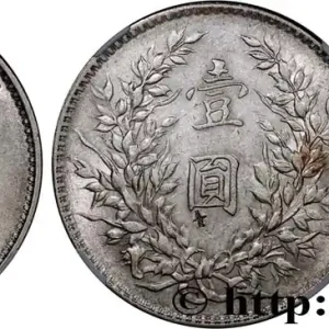 Remise CHINE 1 Yuan Président Yuan Shikai an 10 1921 fwo_765482 Monde