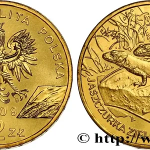 Promotion POLOGNE 2 Zlote le lézard vert d’Europe (Lacerta viridis) 2009 Varsovie fwo_571807 Monde