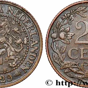 Livraison Express PAYS-BAS 2 1/2 Cents 1929 Utrecht fwo_776926 Monde