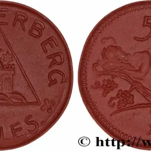 ALLEMAGNE - Notgeld 50 Pfennig - MÜNSTERBERG 1921 fwo_777783 Monde Prix Choc