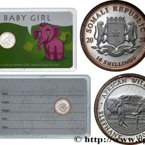 SOMALIE 10 Shillings Proof - Coincard “Baby Girl” 2020 fwo_775644 Monde Soldes