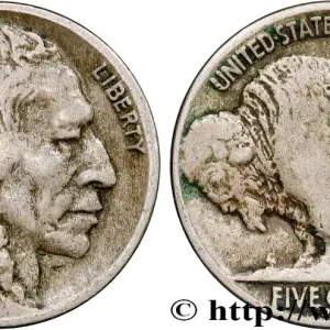 Retour Gratuit ÉTATS-UNIS D'AMÉRIQUE 5 Cents Tête d’indien ou Buffalo 1916 Denver fwo_799219 Monde