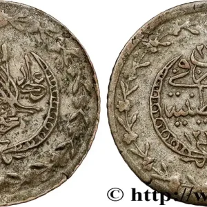 TURQUIE 20 Para au nom de Mahmud II AH1223 / an 24 1831 Constantinople fwo_806679 Monde Nouvel Arrivage