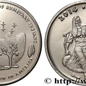 Affaire À Saisir ÉTATS UNIS D'AMÉRIQUE - Tribus Amérindiennes 5 Cents Ewiiaapaayp Band of Kumeyaay Indians 2014 fwo_807093 Monde