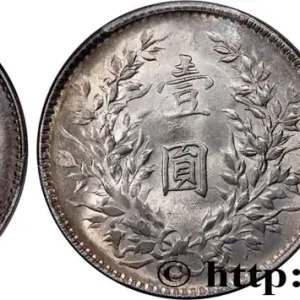 CHINE 1 Yuan Président Yuan Shikai an 10 1921 fwo_813720 Monde Prix Réduit