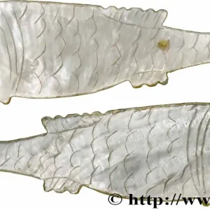 CHINE Jeton de jeu en nacre pisciforme XIXe fwo_783811 Monde Bon Marché