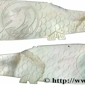 Meilleure Vente CHINE Jeton de jeu en nacre pisciforme XIXe fwo_783780 Monde