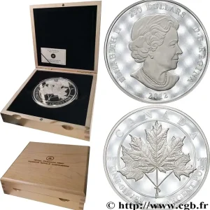 Meilleur Prix CANADA 250 Dollars (1 kilo) Proof feuille d’érable / Elisabeth II 2012 fwo_792279 Monde