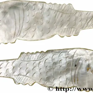 Nouveauté CHINE Jeton de jeu en nacre pisciforme XIXe fwo_783809 Monde