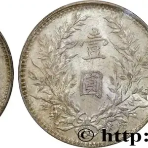 Artisanat CHINE 1 Yuan Président Yuan Shikai an 10 1921 fwo_828926 Monde