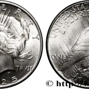 ÉTATS-UNIS D'AMÉRIQUE 1 Dollar type Peace 1925 Philadelphie fwo_839060 Monde Fait Main