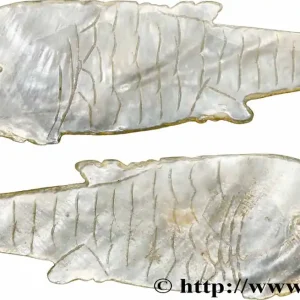 CHINE Jeton de jeu en nacre pisciforme XIXe fwo_783812 Monde Prix Bas