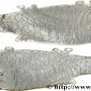 Offre Du Jour CHINE Jeton de jeu en nacre pisciforme XIXe fwo_783793 Monde