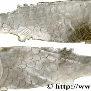 Promotion CHINE Jeton de jeu en nacre pisciforme XIXe fwo_783794 Monde