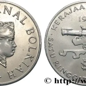 BRUNEI 1 Dollar Sultan Hassanal Bolkiah 1985 fwo_848959 Monde Gros Lot