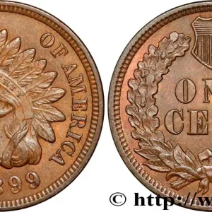 ÉTATS-UNIS D'AMÉRIQUE 1 Cent tête d’indien, 3e type 1899 Philadelphie fwo_852030 Monde Meilleur Prix