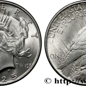 Authentique ÉTATS-UNIS D'AMÉRIQUE 1 Dollar type Peace 1925 Philadelphie fwo_839068 Monde