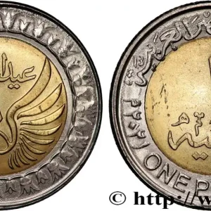 ÉGYPTE 1 Pound (Livre) Journée de la Police an 1442 2021 fwo_718957 Monde Artisanat