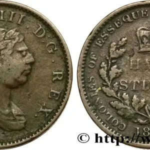 Nouvelle Collection GUYANA 1 Stiver Georges III colonies d’Essequebo et Demarary 1813 fwo_574389 Monde