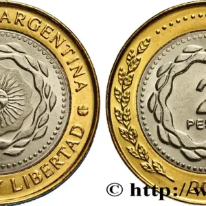 ARGENTINE 2 Pesos soleil frappe médaille 2011 fwo_844049 Monde Quantité Limitée