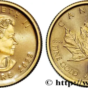 Top Qualité OR, PALLADIUM ET PLATINE INVESTISSEMENT 1/10 Oz - 5 Dollars or "mapple leaf" 2023 fwo_869885 Monde